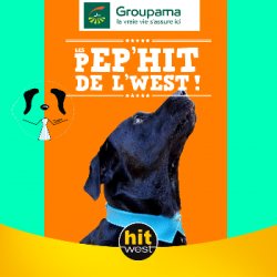 Charlotte, créatrice de collier pour chiens !