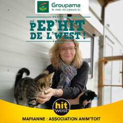 Anim'Toit crée du lien ...
